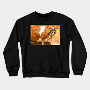 Sassy Cow Crewneck Sweatshirt